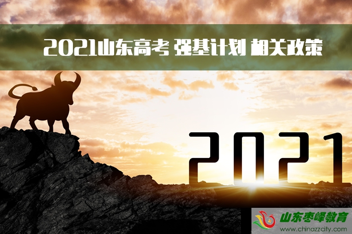 2021山東高考強基計劃先關政策